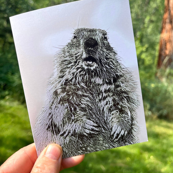 Groundhog Notecard