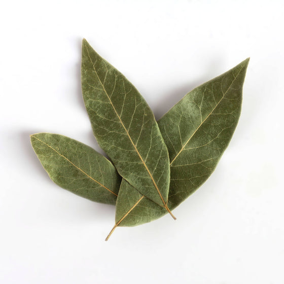 Sicilian Bay Leaf