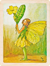 SPRING FLOWER FAIRIES MAGNETS