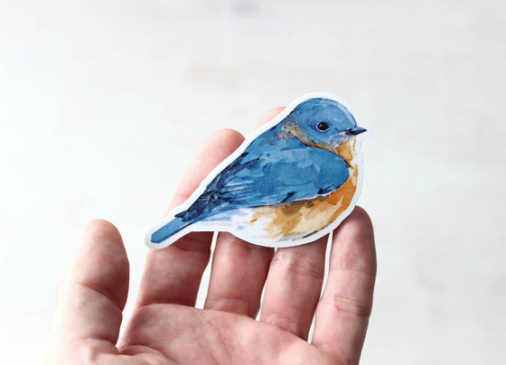 Blue Bird Sticker, Backyard Bird Sticker, Bird Watcher