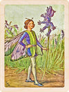 SPRING FLOWER FAIRIES MAGNETS