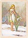 SPRING FLOWER FAIRIES MAGNETS