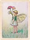 SPRING FLOWER FAIRIES MAGNETS