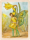 SPRING FLOWER FAIRIES MAGNETS