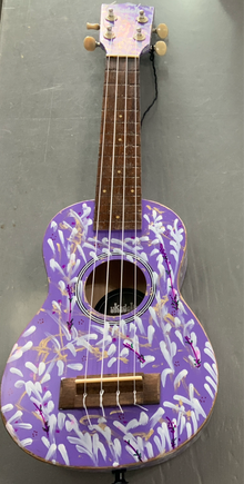  Ukulele Soprano Ukadelic Custom Fretless