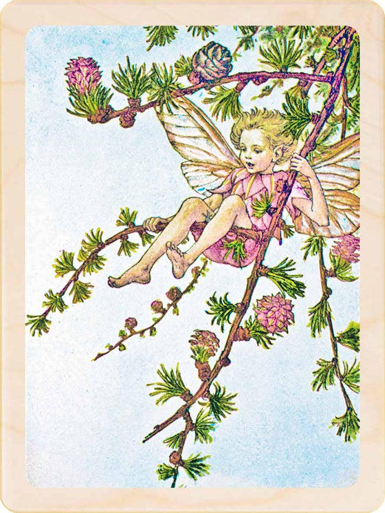 SPRING FLOWER FAIRIES MAGNETS