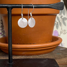  Silver Small Sunray Earring