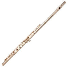  Flute - 16 Covered Hole Nickel Silver with Case