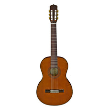  Aria Classical Guitar A20-N  Full Size Cedar