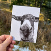 Maya Donkey Notecard