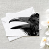 Raven Notecard