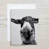 Maya Donkey Notecard