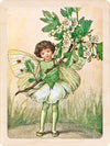 SPRING FLOWER FAIRIES MAGNETS