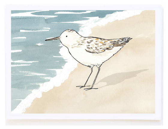 Sandpiper