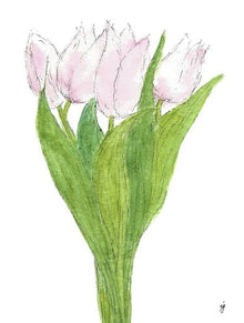  Tulips