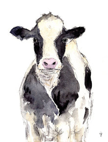  Cow